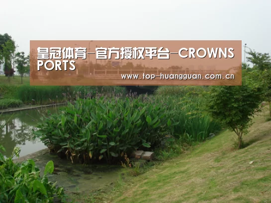 案例展示四(图1)