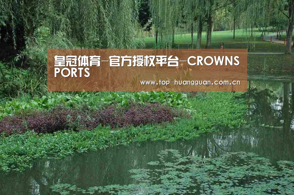 案例展示一(图1)