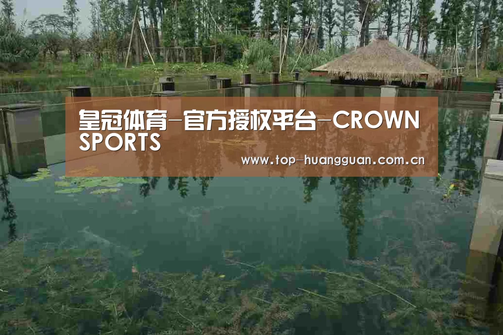 案例展示二(图1)