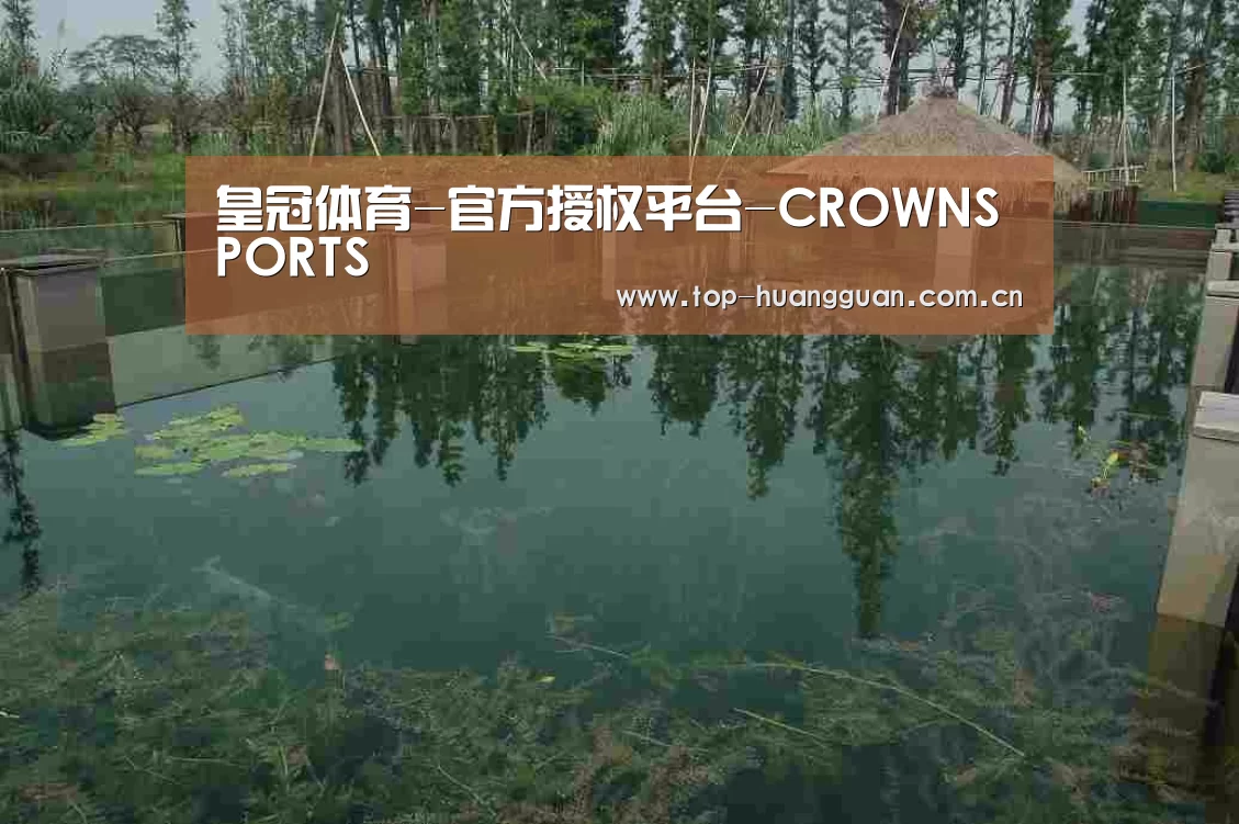 案例展示二