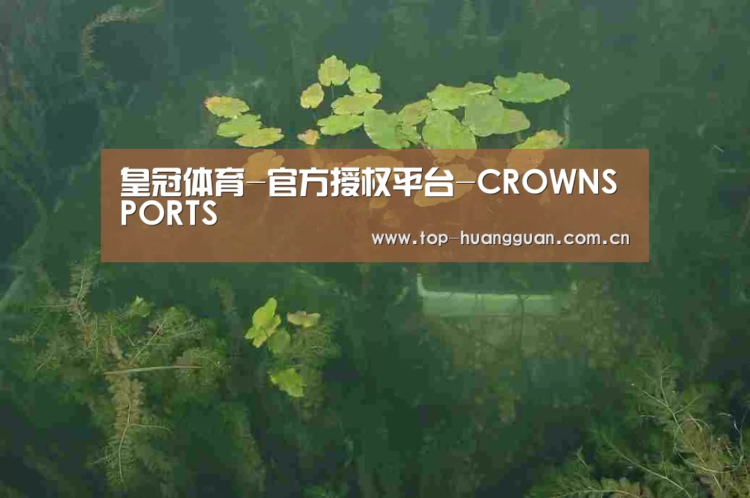 案例展示三
