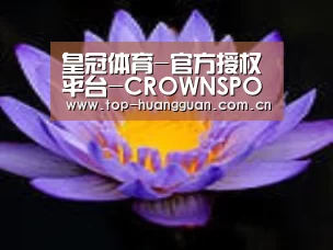 产品名称六