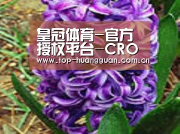 产品名称八
