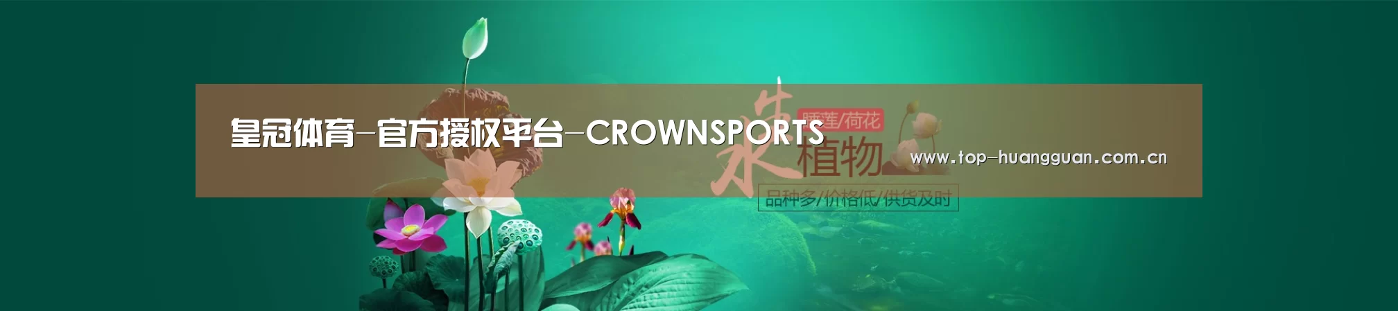 鲜花水草花卉网站模板