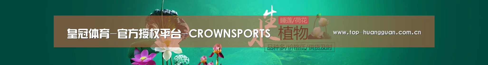 鲜花水草花卉网站模板